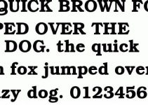 Bookman Font