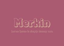 Merkin Font Family